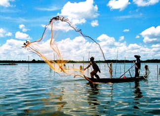 Tour du lịch Cà Mau: Chinh phục cực Nam của Tổ Quốc
