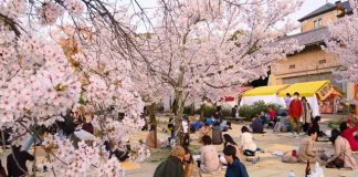 Tổng hợp 7 lễ hội đặc sắc mà khách du lịch Nhật Bản không thể bỏ lỡ